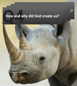 NCC widget Screenshot